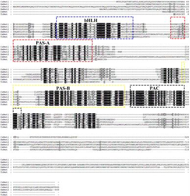 Involvement of Two Paralogous Methoprene-Tolerant Genes in the Regulation of Vitellogenin and Vitellogenin Receptor Expression in the Rice Stem Borer, Chilo suppressalis